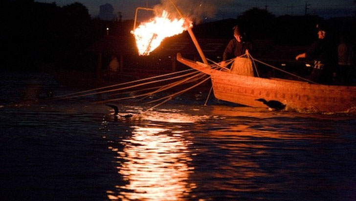 夏の風物詩である鵜飼