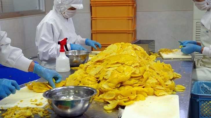 北川村ゆず王国