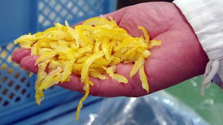 北川村ゆず王国